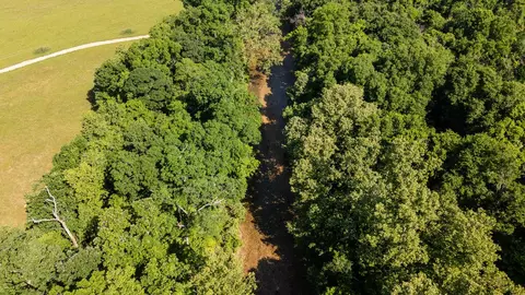 000 County Road Dd 447, Chadwick, MO 65629 photo 7