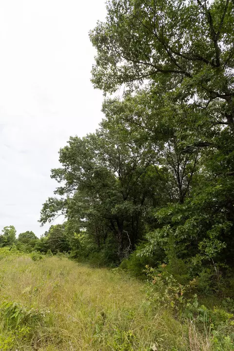 000 County Road Dd 447, Chadwick, MO 65629 photo 66