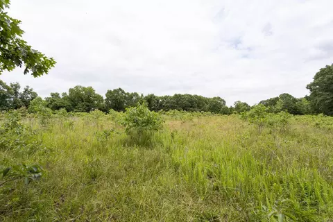 000 County Road Dd 447, Chadwick, MO 65629 photo 64