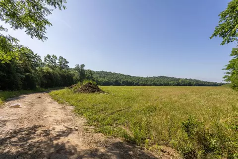 000 County Road Dd 447, Chadwick, MO 65629 photo 33