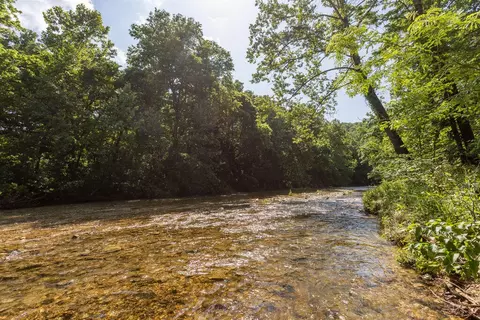 000 County Road Dd 447, Chadwick, MO 65629 photo 35