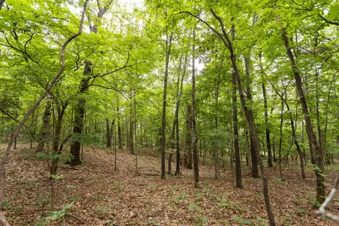 000 County Road Dd 447, Chadwick, MO 65629 photo 72