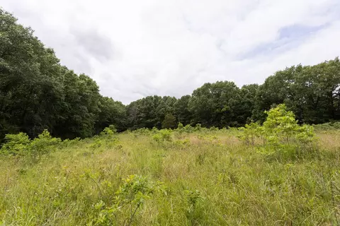 000 County Road Dd 447, Chadwick, MO 65629 photo 62