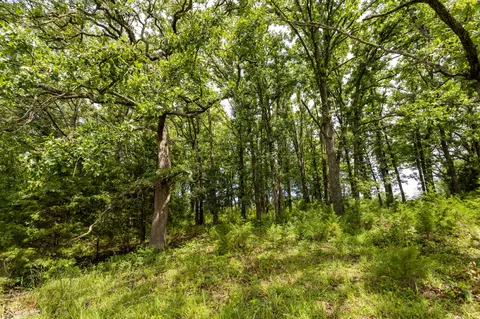 00 S 220th Rd, Halfway, MO 65663 photo 35