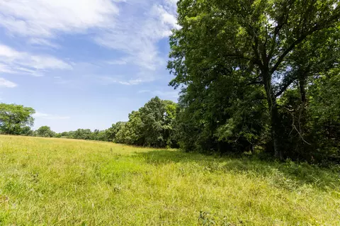 00 S 220th Rd, Halfway, MO 65663 photo 43
