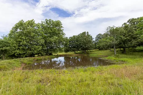 00 S 220th Rd, Halfway, MO 65663 photo 9
