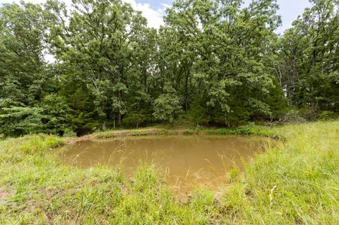 00 S 220th Rd, Halfway, MO 65663 photo 8