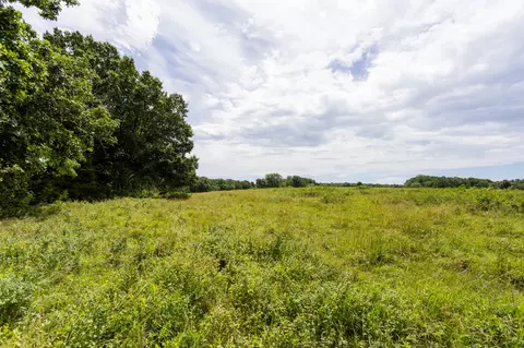 00 S 220th Rd, Halfway, MO 65663 photo 46