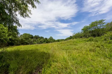 00 S 220th Rd, Halfway, MO 65663 photo 39
