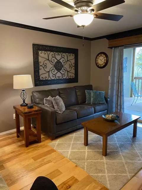 Living - 2 Woodpecker Ln #1, Branson, MO 65616 photo 3 of 3
