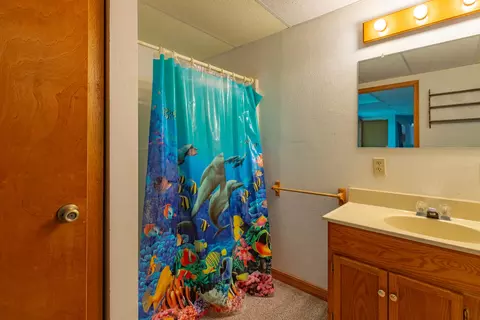 Bath - 22532 Packer Dr #3, Shell Knob, MO 65747 photo 4 of 4