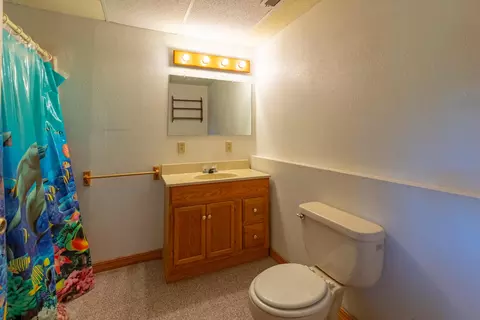 Bath - 22532 Packer Dr #3, Shell Knob, MO 65747 photo 3 of 4