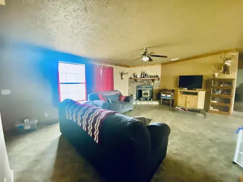 Living - 11 S Dade 203, Everton, MO 65646 photo 3 of 4