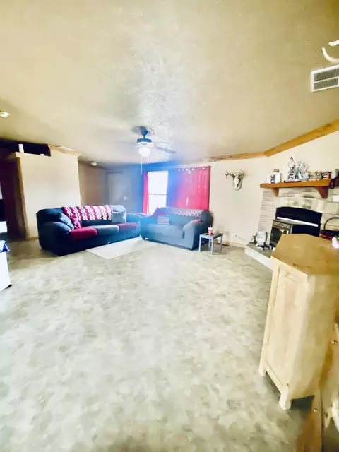 Living - 11 S Dade 203, Everton, MO 65646 photo 2 of 4