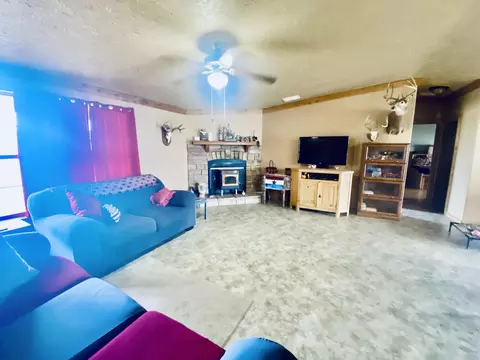 Living - 11 S Dade 203, Everton, MO 65646 photo 4 of 4
