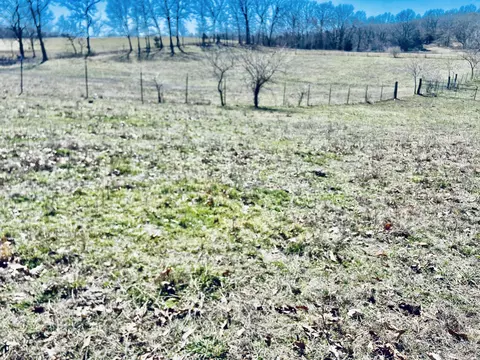 Other - 11 S Dade 203, Everton, MO 65646 photo 42 of 42