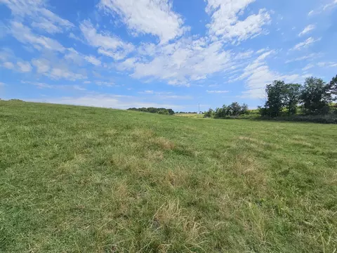25 Acres State Highway F, Anderson, MO 64831