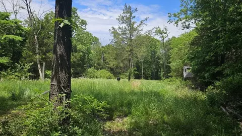 tbd S 000 S Bonnie Lee Ln, Rogersville, MO 65742