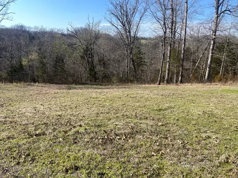 lot7 8 Mill Creek Lndg, Shell Knob, MO 65747 photo 8