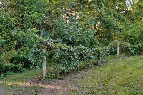Exterior - 605 N 7th Ave, Ozark, MO 65721 photo 9 of 14