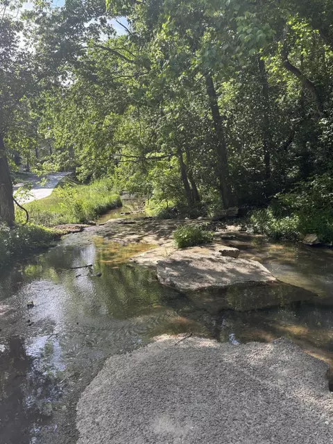 Other - 605 N 7th Ave, Ozark, MO 65721 photo 10 of 11