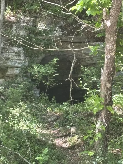 Other - 605 N 7th Ave, Ozark, MO 65721 photo 9 of 11
