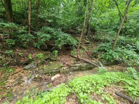 513 Stone Rd, South West City, MO 64863