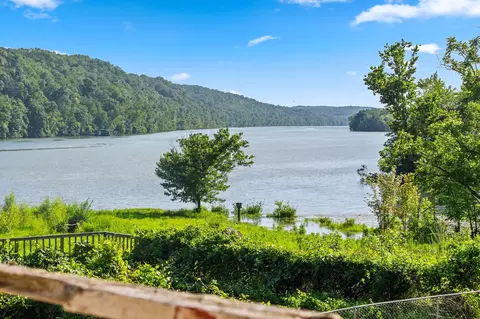View/Area - 261 Cedar Point Road Apt Cabins 456 Rd #CABINS 4,5,6, Forsyth, MO 65653 photo 3 of 12