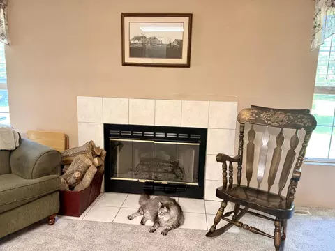 Living - 1334 Cherokee Ct, Marshfield, MO 65706 photo 3 of 5