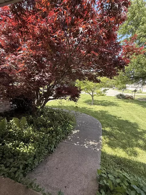 Exterior - 1334 Cherokee Ct, Marshfield, MO 65706 photo 6 of 6