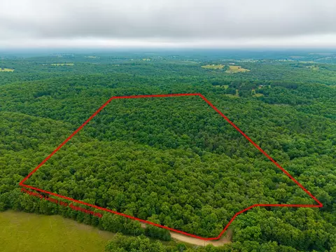 000 Co Rd 519 #TRACT 1, Hardenville, MO 65666
