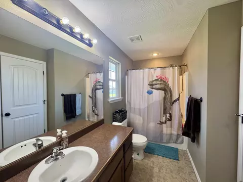 Bath - 206 Spruce Ave, Clever, MO 65631 photo 2 of 2