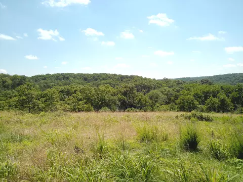 1029 Bear Hollow Rd, Pineville, MO 64856