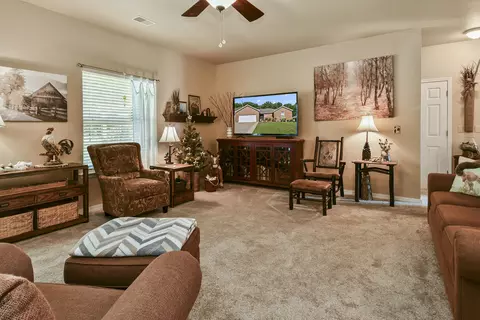 Living - 220 Tyler St, Branson, MO 65616 photo 3 of 3