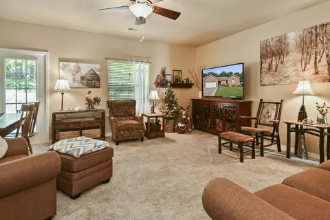 Living - 220 Tyler St, Branson, MO 65616 photo 1 of 3