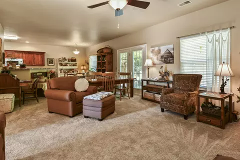Living - 220 Tyler St, Branson, MO 65616 photo 2 of 3