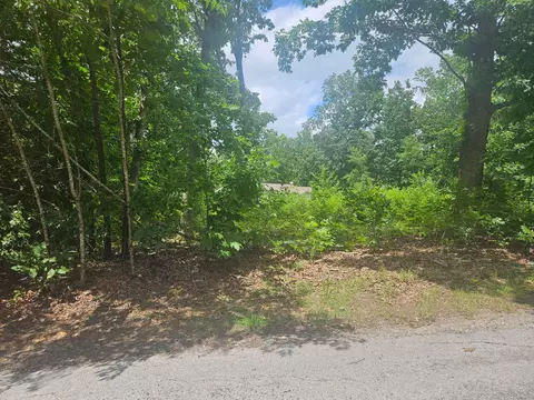 000 Woodruff St, Mountain View, MO 65548 photo 3