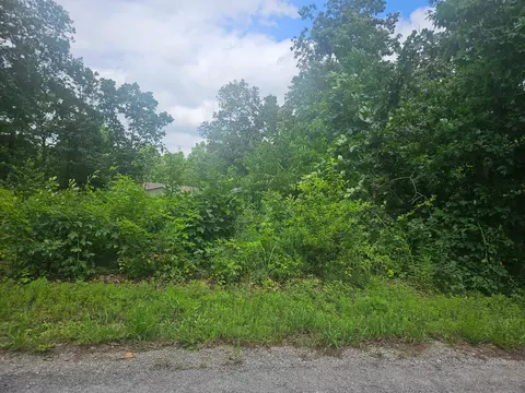 000 Woodruff St, Mountain View, MO 65548 photo 4