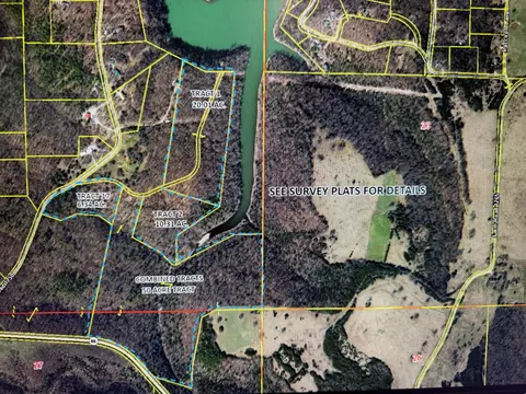 Tract 17 Farm Road 1250, Golden, MO 65658