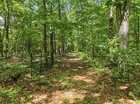 000 Barn Hollow Dr, Mountain View, MO 65548 photo 20