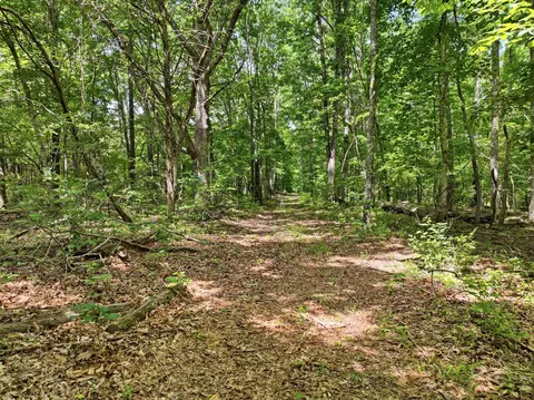 000 Barn Hollow Dr, Mountain View, MO 65548 photo 19