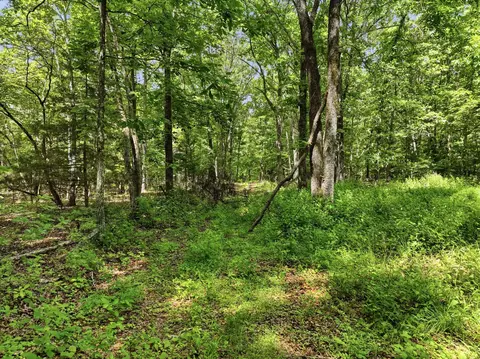 000 Barn Hollow Dr, Mountain View, MO 65548 photo 16
