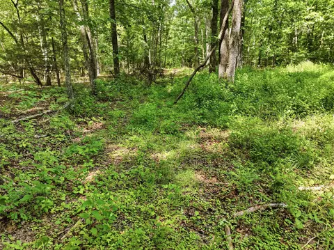 000 Barn Hollow Dr, Mountain View, MO 65548 photo 15