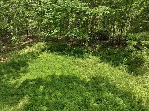 000 Barn Hollow Dr, Mountain View, MO 65548 photo 3