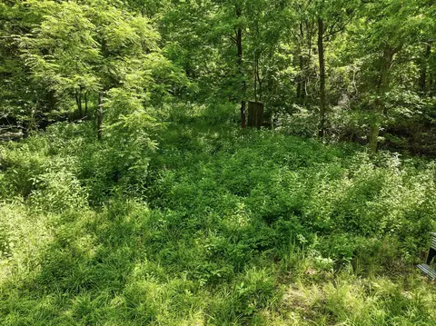 000 Barn Hollow Dr, Mountain View, MO 65548 photo 2