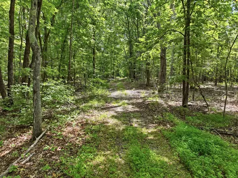 000 Barn Hollow Dr, Mountain View, MO 65548 photo 17