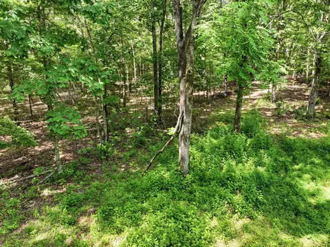 000 Barn Hollow Dr, Mountain View, MO 65548 photo 4