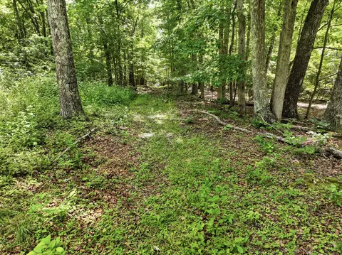 000 Barn Hollow Dr, Mountain View, MO 65548 photo 14