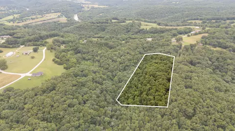 000 Misty Springs Rd #LOT 16, Galena, MO 65656