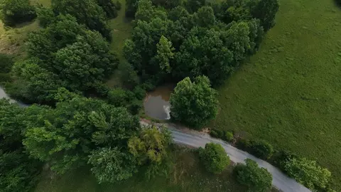 Other - 506 Hansen Ln, Gainesville, MO 65655 photo 28 of 30